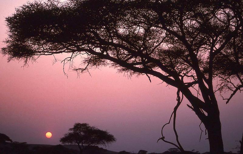 WT 1400 212-11 Kenya.jpg